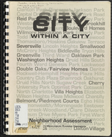 City within a city : neighborhood assessment